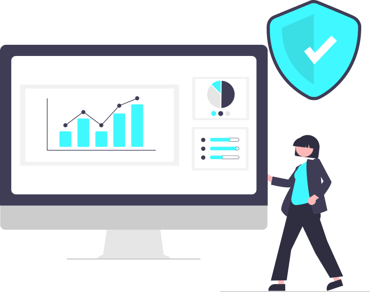Website security and performance audit